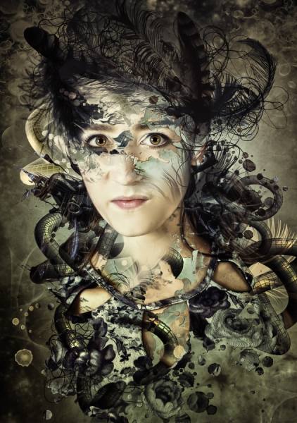 Photograph Vicki Lea Boulter Crow on One Eyeland
